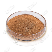 SiO2 Coated Bronze Powder